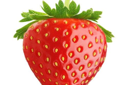 国产在线网站草莓视频 第1张 国产在线网站草莓视频 第1张