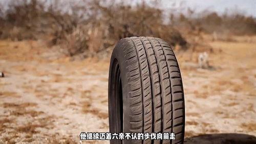 解说国产轮胎视频