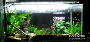 国产水草灯推介视频,打造水族箱生态之美，点亮绿色生活新风尚